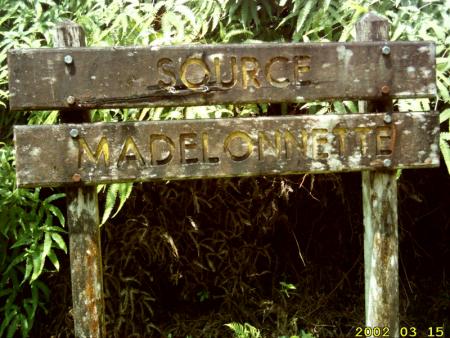 source madelonnette