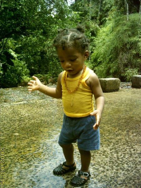 terrry